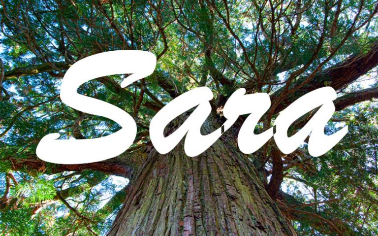 Japanese meaning of the name Sara