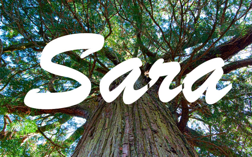 Japanese meaning of the name Sara