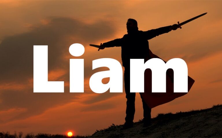 meaning of the name liam in the bible