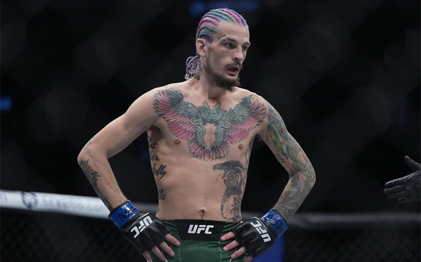 sean o'malley net worth